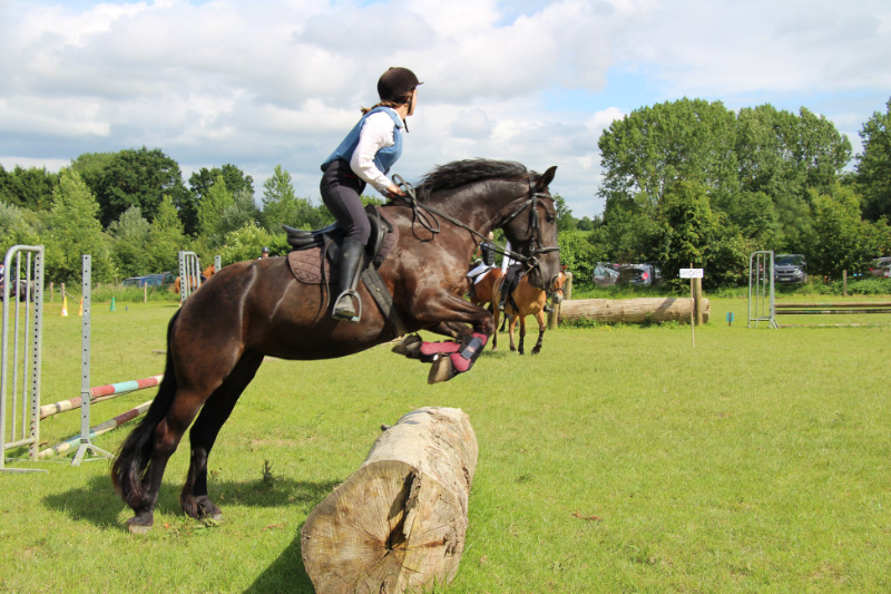 Concours d&rsquo;Equifeel & Trec